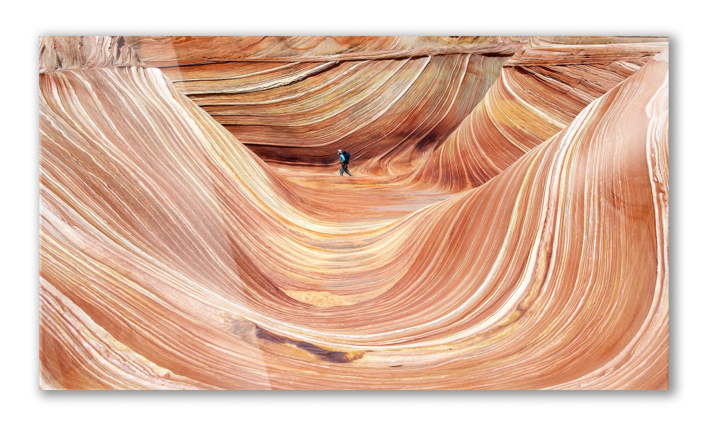 The Wave